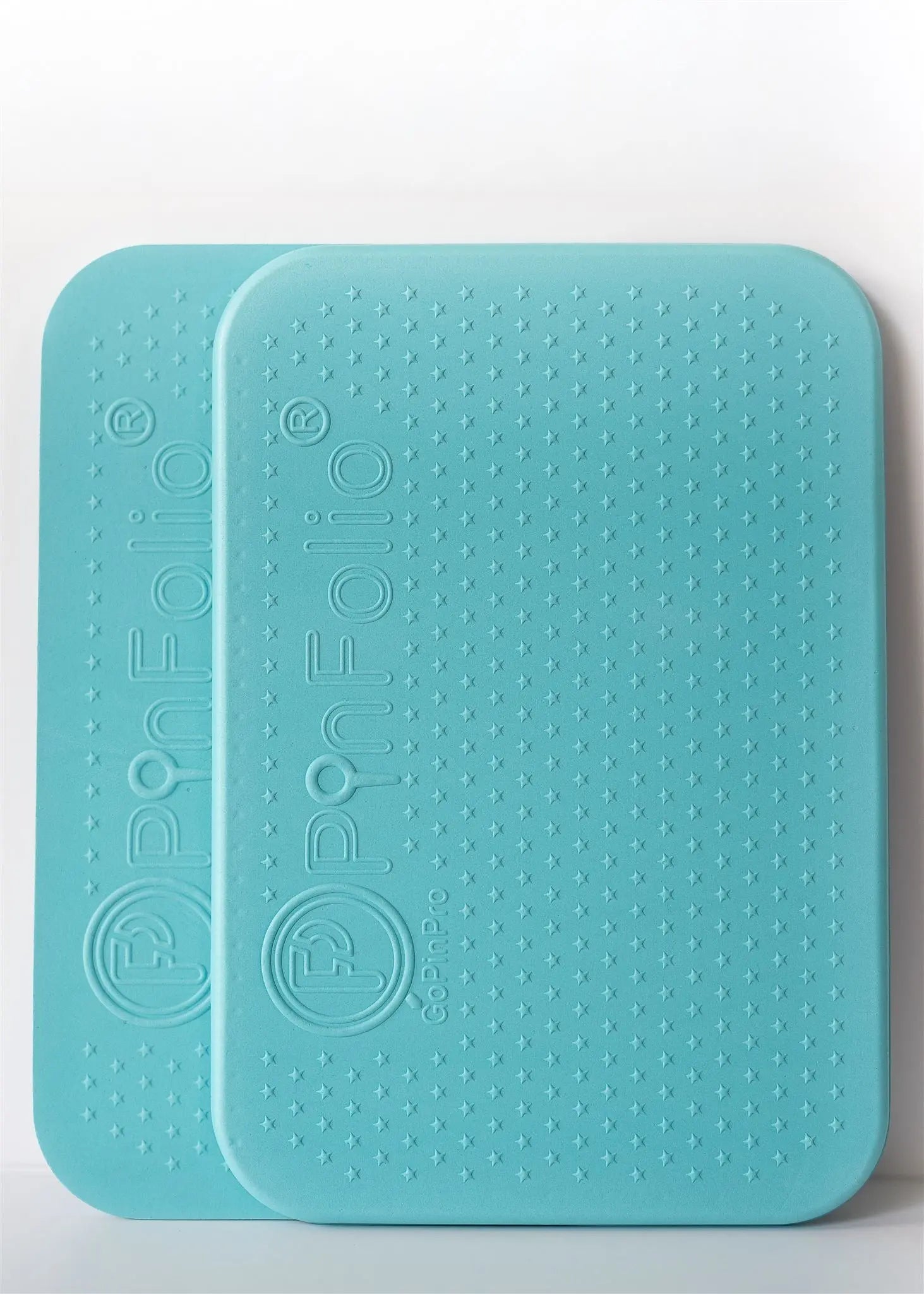 PinFolio Mid-size Boards pack of 2 GoPinPro